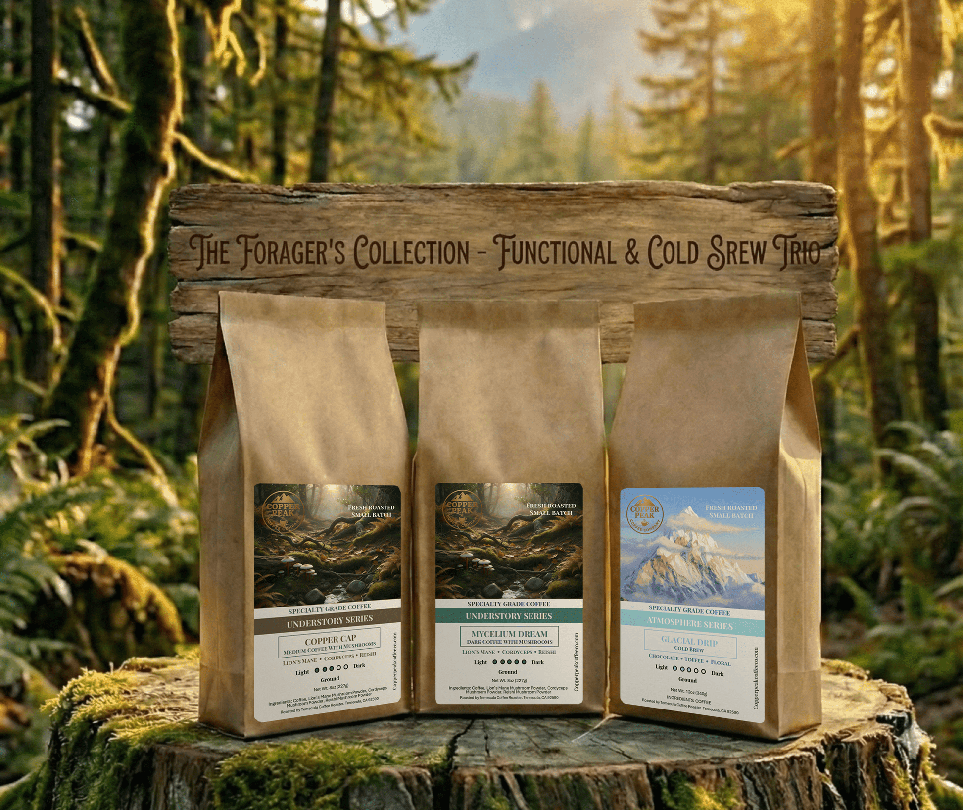 The Forager's Collection - Functional & Cold Brew Trio - Copper Peak Coffee Company